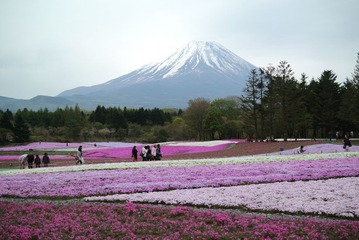 DSC_1558.jpg