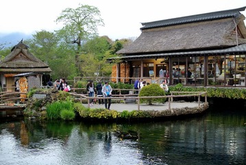 DSC_1609.jpg