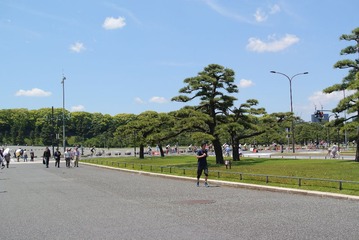 DSC_1914.jpg