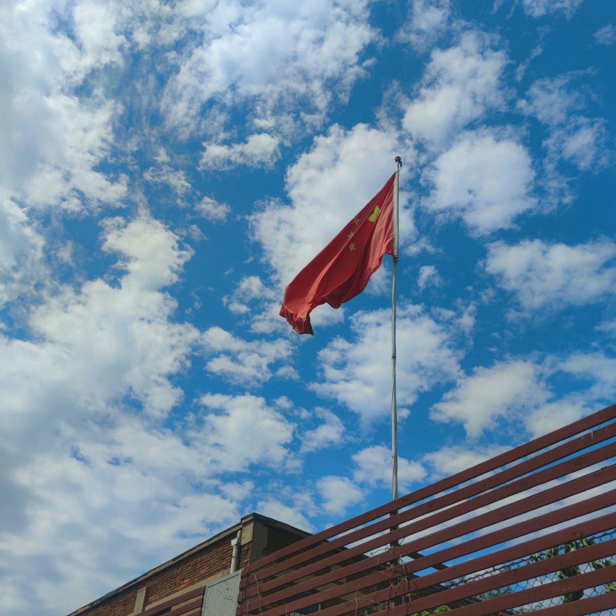 校园一角的国旗