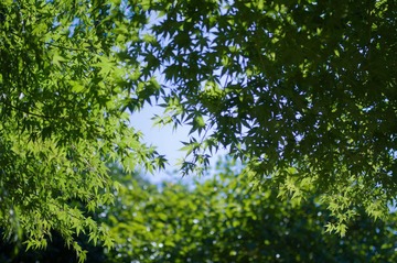 IMGP0677.jpg