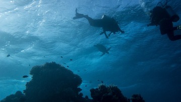IMG_0473_1280.jpg