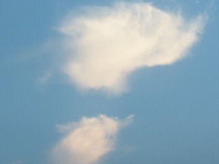 11028