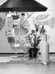 _1240307bw1.jpg