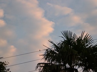 2537427