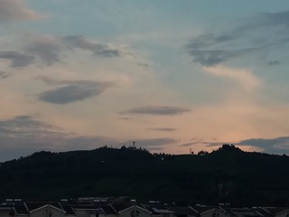 244533