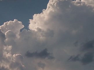 64868