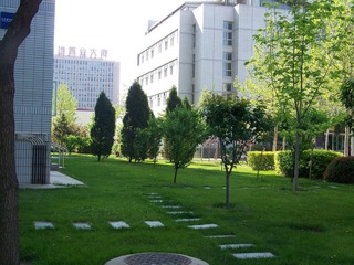 100_2312.JPG