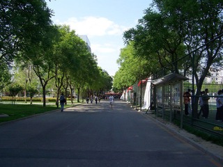 100_2311.JPG