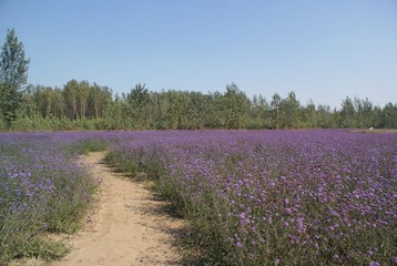 DSC02840.JPG