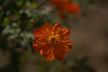 DSC02853.JPG