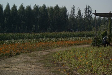 DSC02854.JPG