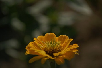 DSC02855.JPG