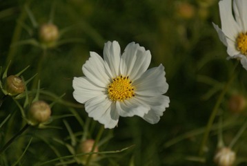 DSC02868.JPG