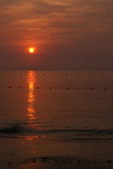 DSC09139.JPG