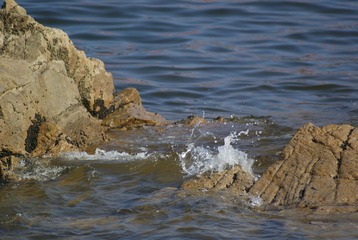 _DSC8906.JPG