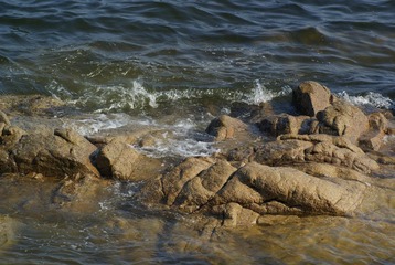 _DSC8950.JPG