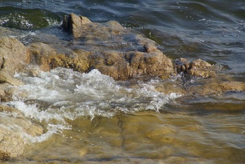 _DSC8954.JPG