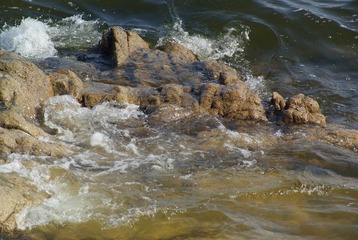_DSC8955.JPG