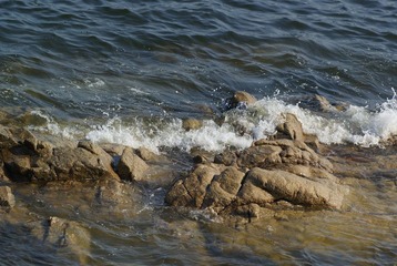 _DSC8960.JPG