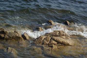 _DSC8961.JPG