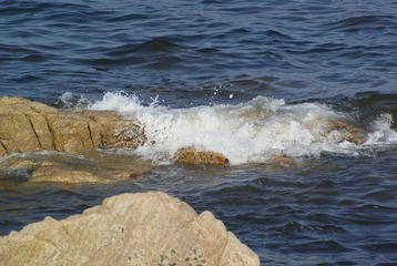 _DSC8975.JPG