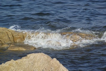 _DSC8976.JPG