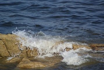 _DSC8978.JPG