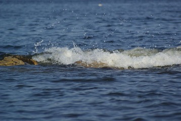 _DSC9000.JPG