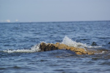 _DSC9011.JPG