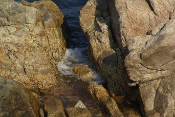 _DSC8923.JPG