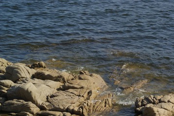 _DSC8935.JPG