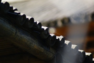 _DSC9805.JPG