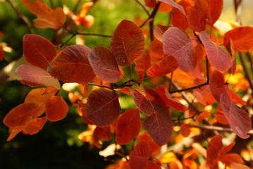 _DSC0121.JPG