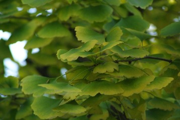 DSC00165.JPG