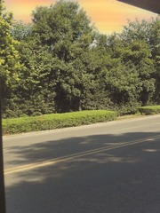 507270