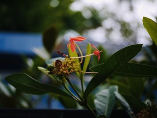 07399FFC-F86D-46BC-A6ED-49F17658B1E3/L0/001