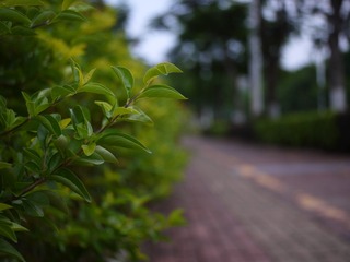 05431791-E889-43AB-9D83-FEBB836F3050/L0/001