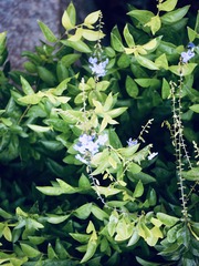 41C0F530-EDB3-4A96-B479-B40562EFC220/L0/001