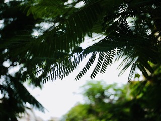 234D1267-E865-4D2C-945A-078290588516/L0/001