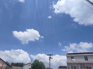 1000027542