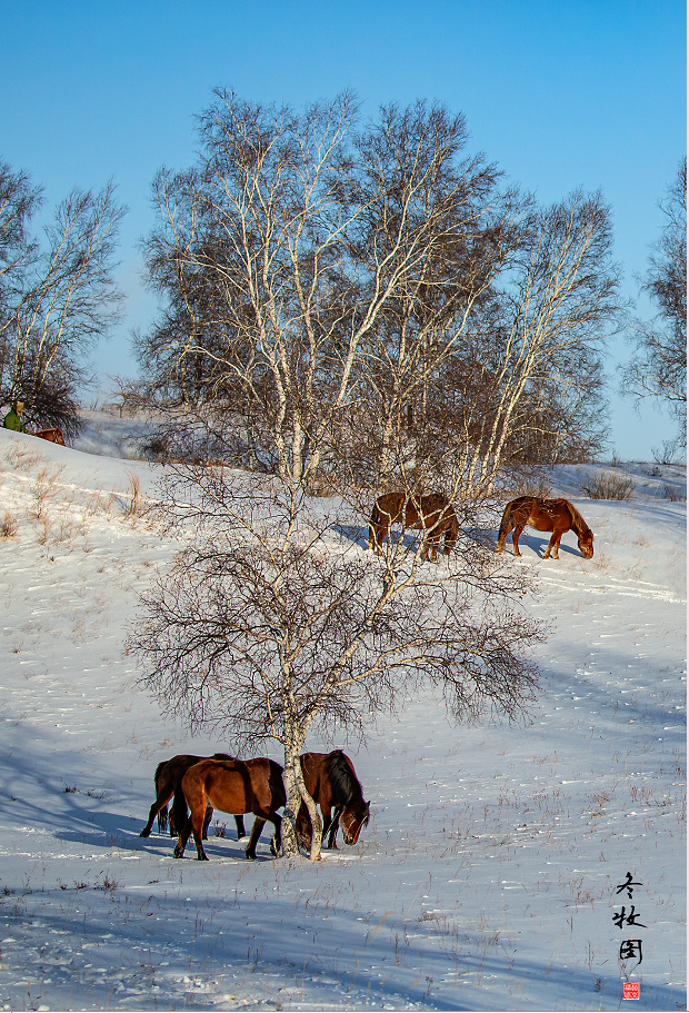 冬牧图