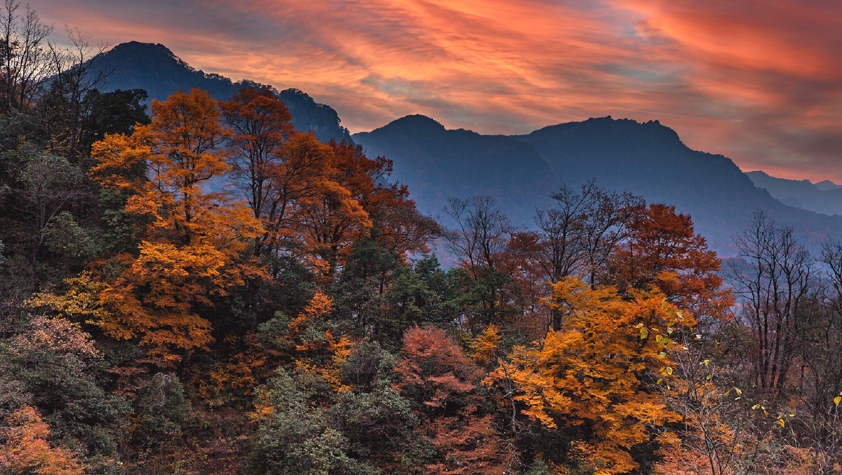 米仓山秋色摄于四川省巴中市南江县