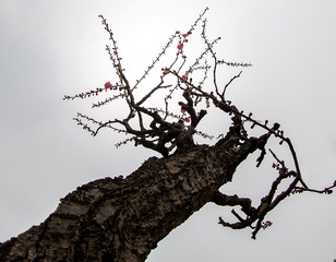 _I8A0578-1