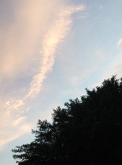 210329
