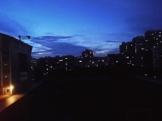 1441805