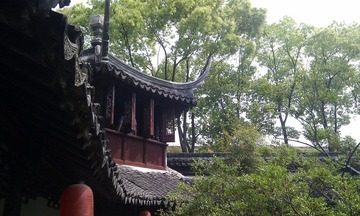 IMAG0025.jpg