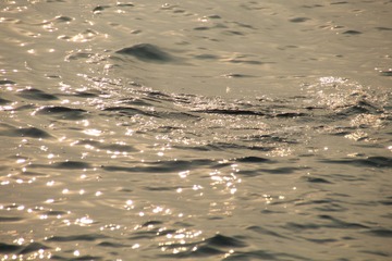 BD9DD7F5-AA0D-457F-BA5E-8AB4790AA626/L0/001
