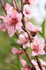 IMG_6215.JPG