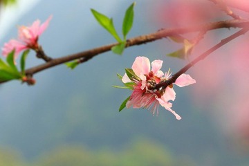 IMG_6218.JPG